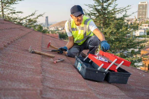 Professional Siding in Mcmechen, WV